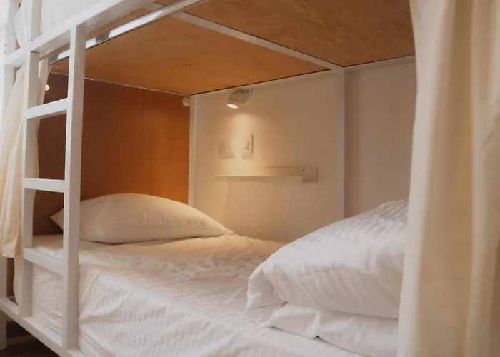 Vecinos By La PalmeraHostel